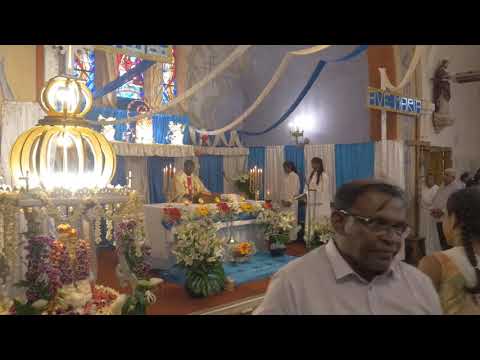 Annaivelankanni 2019