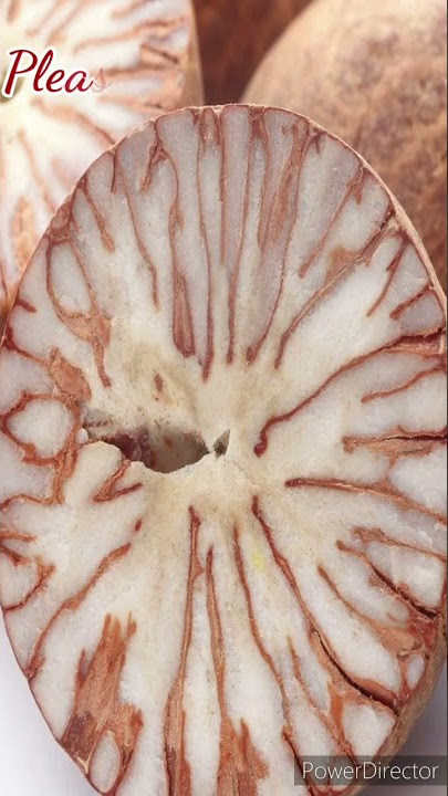 Supari / Betel nut  #shorts