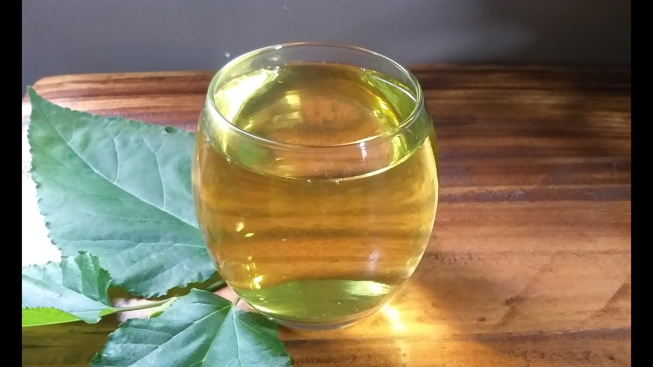 HEALING TEA / MULBERRY TEA AND ITS HEALTH BENEFITS #michelletv