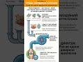 ⚠️ ЧОМУ СПИНА НЕ ВІДНОВЛЮЄТЬСЯ БЕЗ РУХУ? #спина #суглоби #кінезітерапія #хребет #масаж #здоровя #рух
