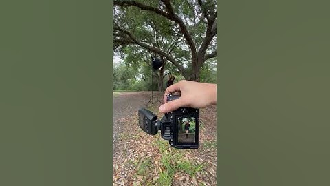 The Power Of Color Grading in Photoshop. 🔥 #portraitphotography #photoshop #colorgrading