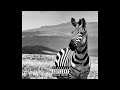 [FREE] Freddie Gibbs Sample Type Beat – "Zebra Fur"