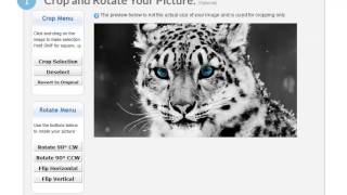 Resizing Pictures Over 1080x1920