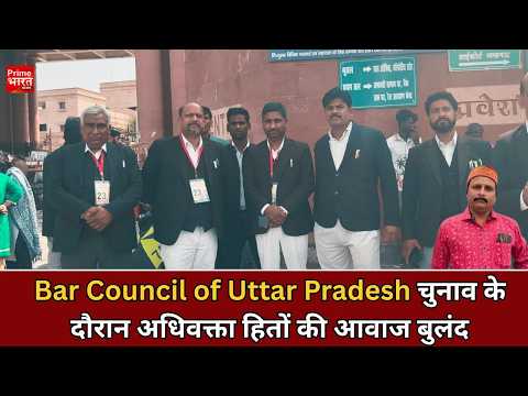 Lucknow Bench of Allahabad High Court में बार काउंसिल चुनाव का चौथा चरण, वकीलों में उत्साह|
