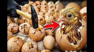 I Smashed 60 Eggs with a Hammer... Will They Survive? 🔨 🐣