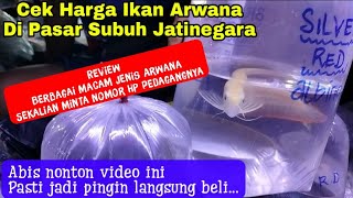 Cek Harga Ikan Arwana di Pasar Subuh Ikan Hias Jatinegara