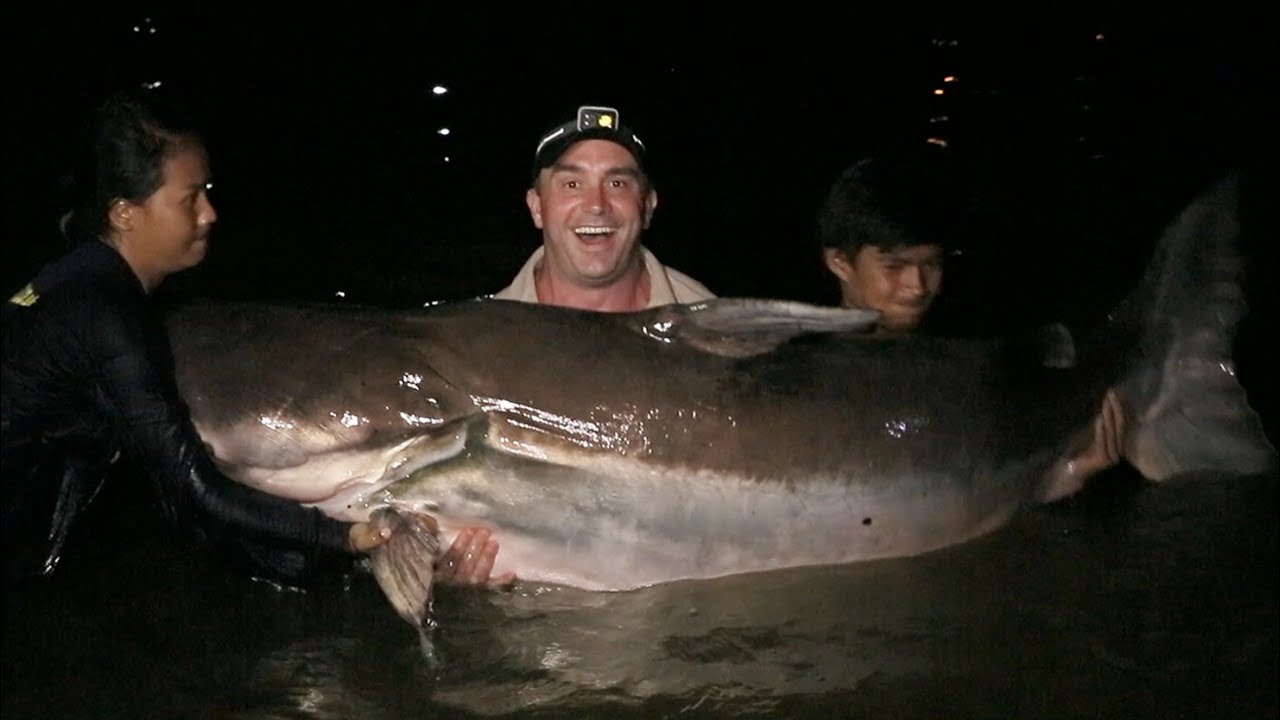 Il M A Fallu 2h Pour Sortir Ce Monstre Du Mekong Cyril Chauquet Youtube