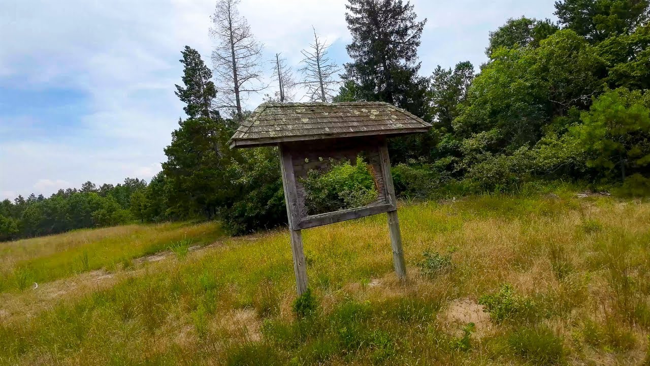 Low Altitude Maneuvering Training