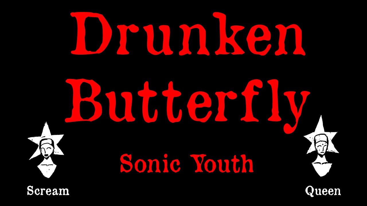 Sonic Youth - Drunken Butterfly - Karaoke - YouTube