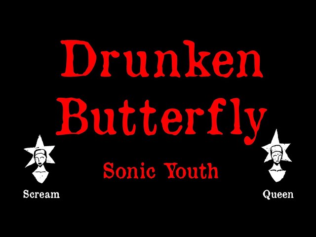 Sonic Youth - Drunken Butterfly - Karaoke - YouTube