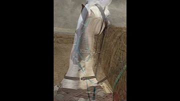 تصميم تصميمي حقوق اغنيه غلطت معها غلطة تذبح الحي 