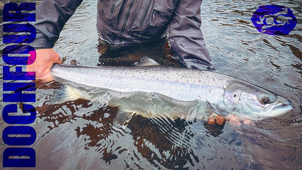 33lb of salmon caught on the fly | Dochfour | salmon fishing Scotland ...