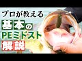 【バス釣り】プロガイドが解説!ミドストの基本/ミドストが苦手な方必見!