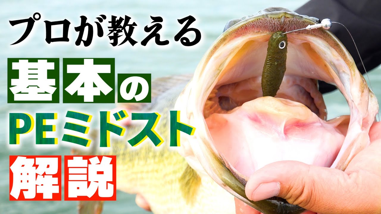 【バス釣り】プロガイドが解説！ミドストの基本/ミドストが苦手な方必見！