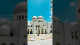 surah🌸 #surah #islamic #shortvideo