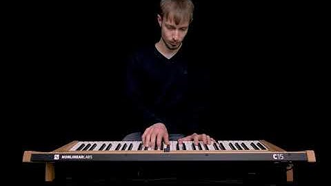 Nonlinear Labs C15 - Flanged Gospel