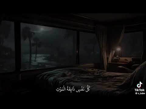 يالله بسم الله الرحمن الرحيم اللهم صل على محمد وآل محمد