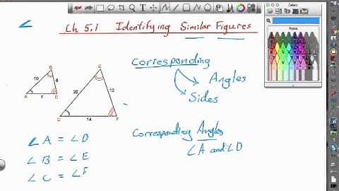7th Ch 5.1 Identifying Similar Figures