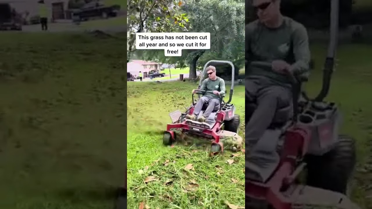 Преображение газона: двойная стрижка высокой травы + уборка листьев БЕСПЛАТНО! 