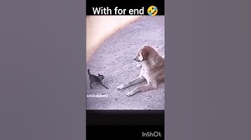 troll face impossible animal video editing part-1 😂🤣#trending ##music #trollface #edit