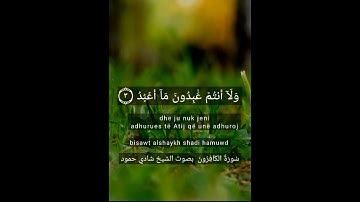سورة الكافرون بصوت الشيخ شادي حمود