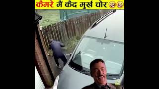          I  Stupid Thieves part 6 shorts I Factmind