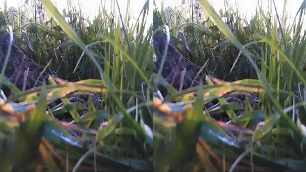 Schnitt JVC TD1 3D mit Quadrocopter Galaxy 3D konverg- 1080p SBS