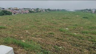 MISTULANG ISLA NG WATER HYACINTH SA BARKADAHAN BRIDGE! GANITO PALA SA EASTBANK ROAD,PASIG-TAYTAY!