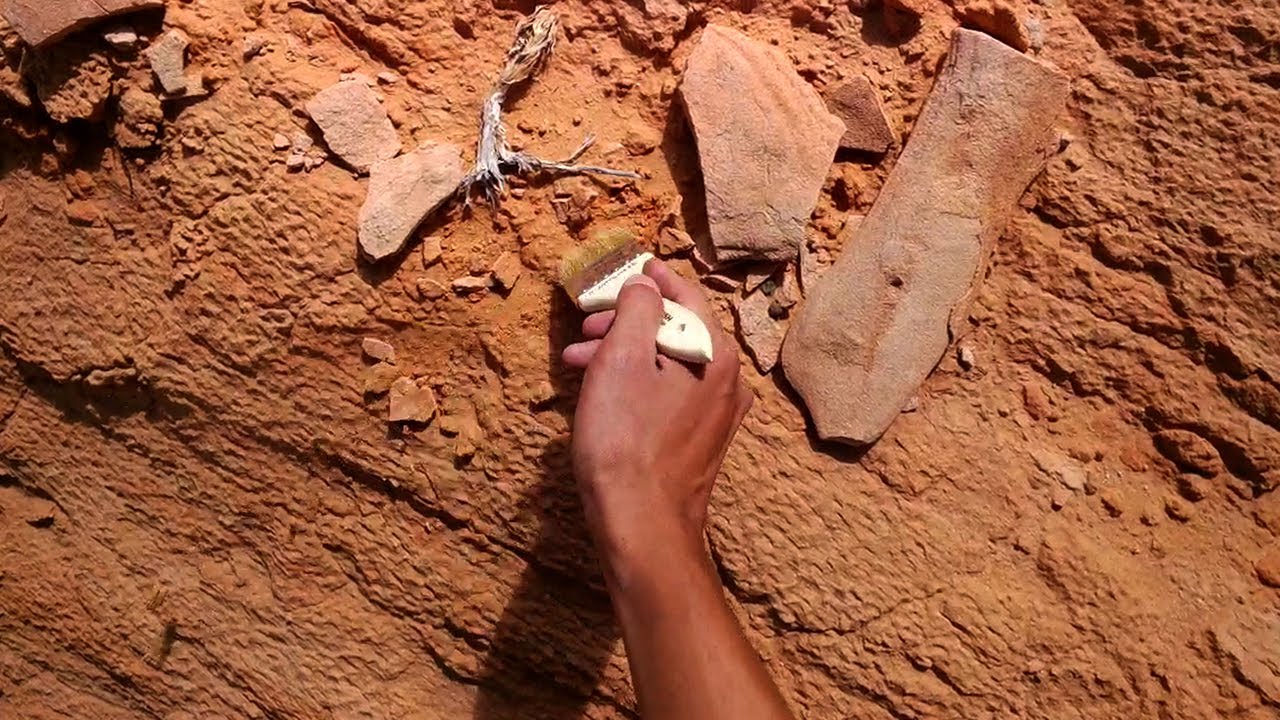 museums in london Google Glass in the Gobi: Prospecting