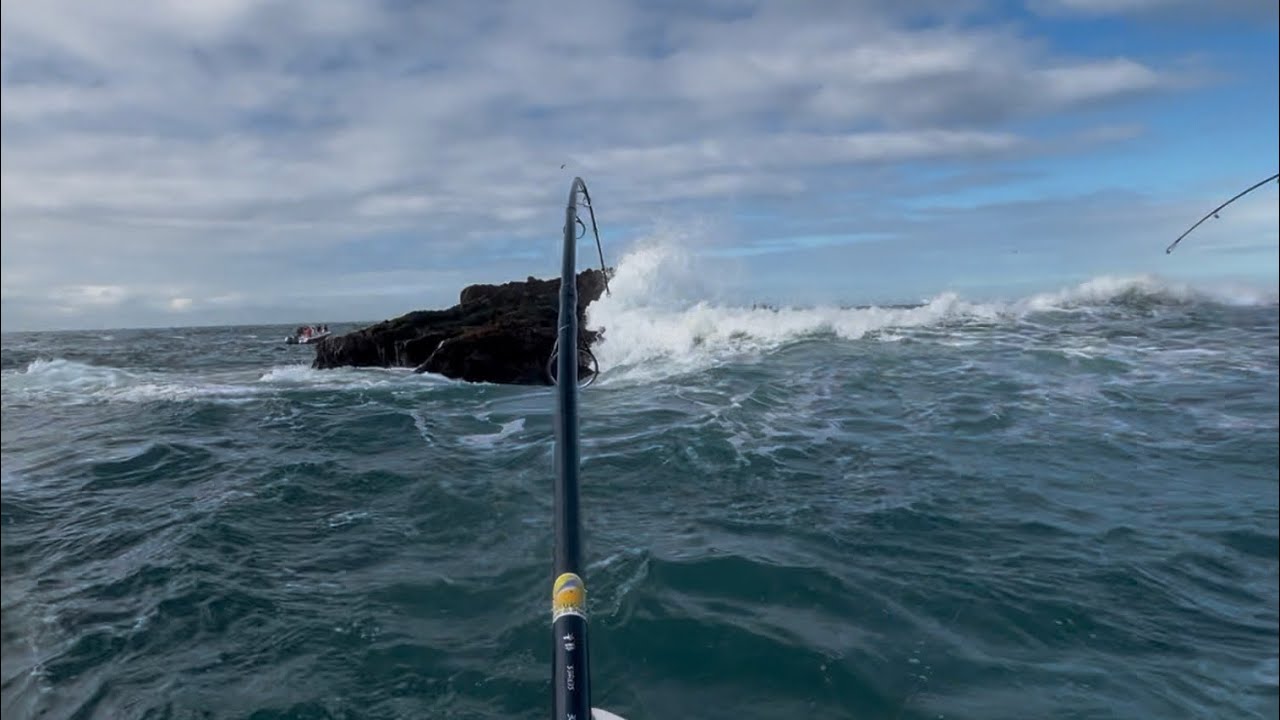 Pescaria Nas Ilhas De Imbituba “muito peixe “