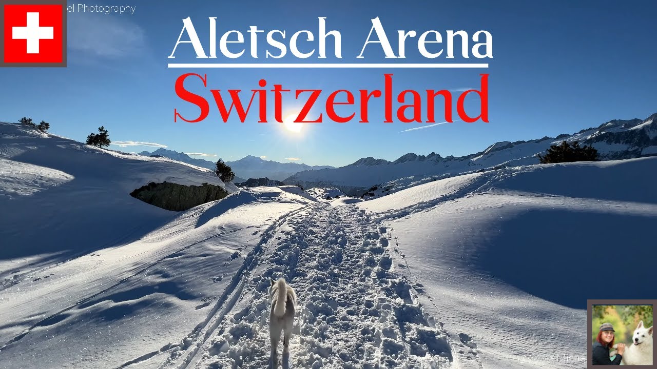 Удивительный зимний поход на Aletsch Arena Switzerland 4K