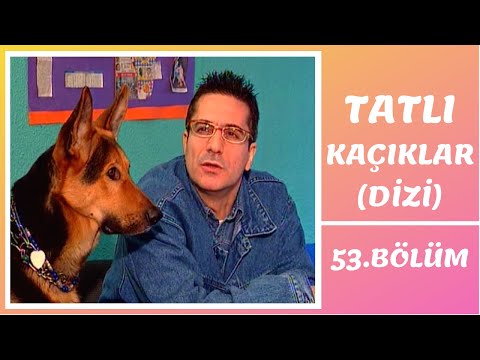 Tatlı Kaçıklar | 53. Bölüm