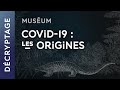 Les origines du Covid-19 | Web-série Virus