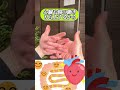 スマホ、パソコン1日2時間以上触る人は絶対やってね！1日20回で疲労回復、脳が活性化する指のエクササイズ！ #船橋整体