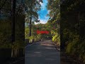 Shimla#trending #naturalview #shorts #video #top10 #