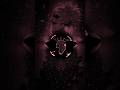 ACIDO III PHONK GOES INSANE 💀🔥 | Ultra Smooth Spectrum Visualizer Edit | Avee Player 4K