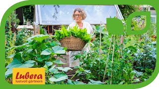 Square Foot Gardening So Geht Gärtnern Im Quadrat