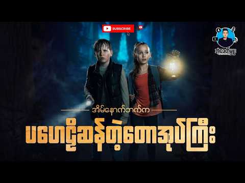 Harvesting RARE Black Chayote To Sell | The Most Sought-After Fruit By The Super-Rich on The Market