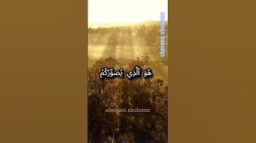 بصوت جميل وهادئ للغاية القارئ عبدالرحمن مسعد #قرآن #اكسبلور #راحة_نفسية #حالات_واتس #تلاوة_خاشعة