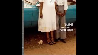 Tumi And The Volume - Sticks And Stones - Tumi And The Volume