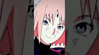 Cherry Blossoms Eyes Never Lie