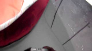 SDC11229