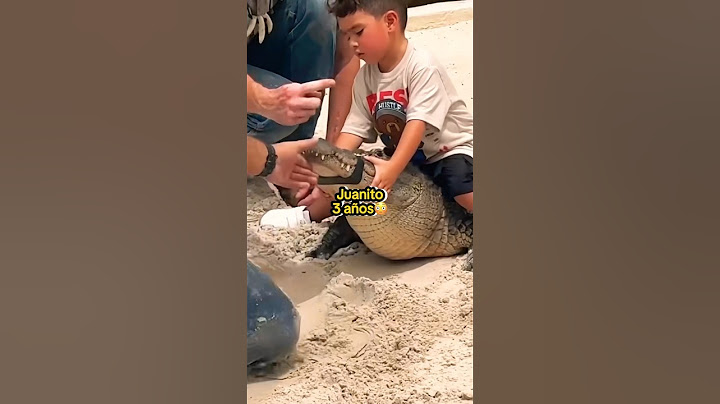 JUANITO Y SU COCODRILO 😳😱 | #jukilop #shorts #kimberlyloaiza