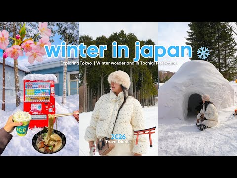 Japan 2026 Best Beginner Ski Resort Near Tokyo, Lunch Inside An Igloo +costs & Hotels | Ep2 🇯🇵