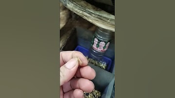 The precise machine can produce such precise small parts! #machine #cncpartsfactory #cncmachineparts