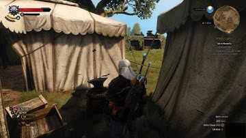 Witcher 3 - Invisible Blacksmith (bug)