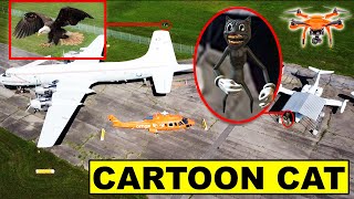 You Wont Believe What My Drone Caught At This Abandoned Airfield  Cartoon Cat And Eagle Found