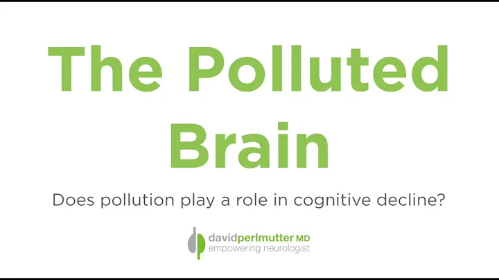 Is Air Pollution Ruining Your Brain?
