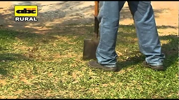¿Cómo mejorar el suelo de mi jardín?