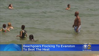 Chicagoans Flock To Evanston Beaches